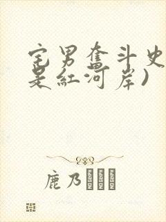 宅男奋斗史(天是红河岸)