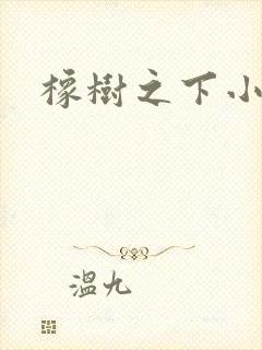 橡树之下小说