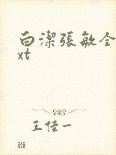 白洁张敏全集txt