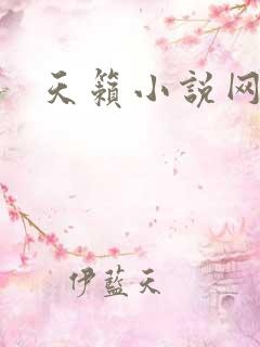 天籁小说网