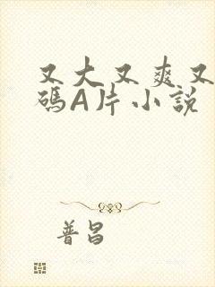 又大又爽又黄无码A片小说