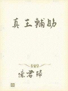 真王辅助