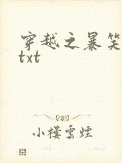 穿越之暴笑王妃txt