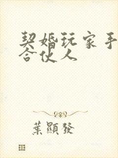 契婚玩家手册之合伙人