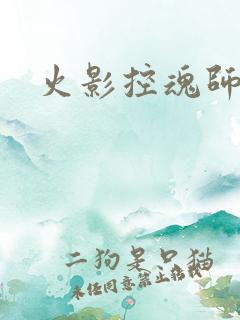 火影控魂师