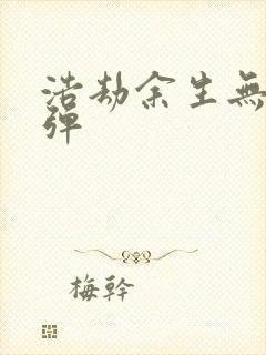 浩劫余生无限子弹