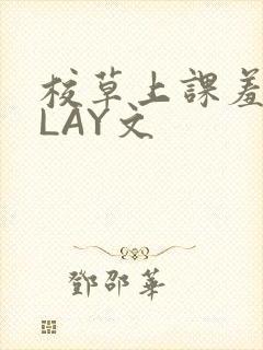 校草上课羞耻PLAY文