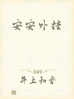 安安外挂