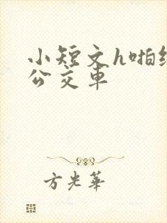 小短文h啪纯肉公交车