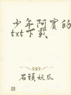 少年阿宾的故事txt下载