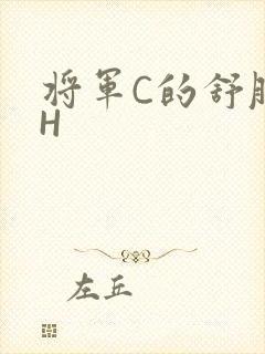 将军C的舒服么H