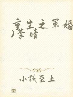 重生之军婚(h)李晴