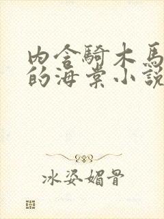 内含骑木马情节的海棠小说男主