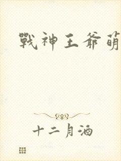 战神王爷萌虎妃