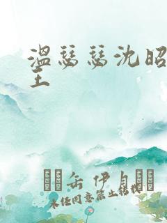 温瑟瑟沈昭摄政王