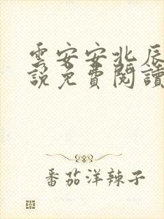 云安安北辰逸小说免费阅读