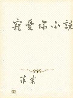 宠爱你小说