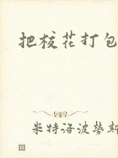 把校花打包带走