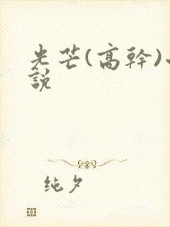 光芒(高干)小说