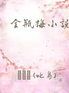 金瓶梅小说下载