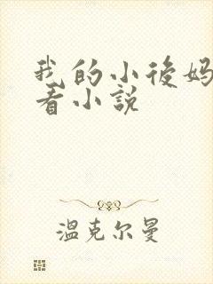 我的小后妈免费看小说