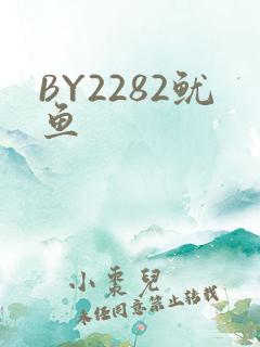 BY2282鱿鱼