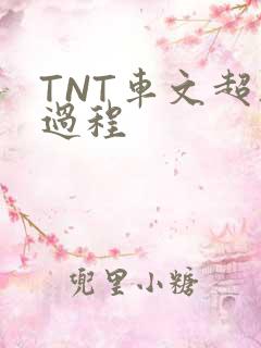 TNT车文超细过程