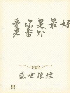 爱你是最好的时光番外