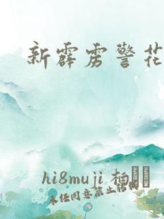 新霹雳警花