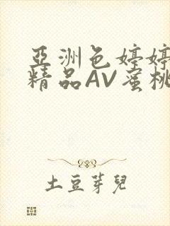 亚洲色婷婷久久精品AV蜜桃小说