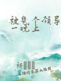 被几个领导玩弄一晚上