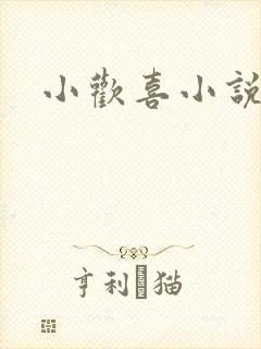 小欢喜小说