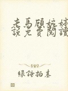 老马顾婉婷的小说免费阅读