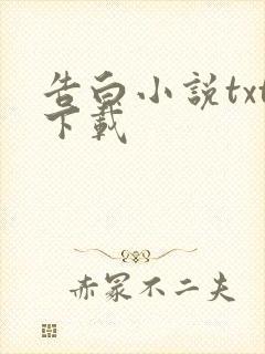 告白小说txt下载