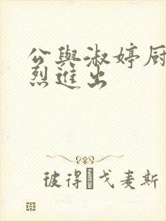 公与淑婷厨房猛烈进出