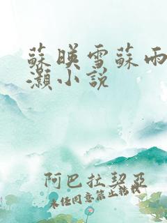 苏映雪苏雨柔苏灏小说