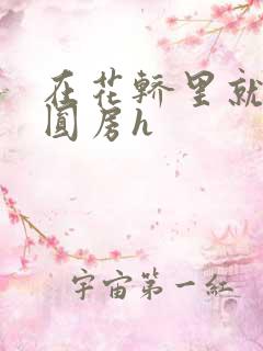 在花轿里就开始圆房h