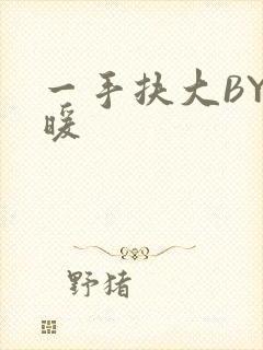 一手扶大BY泱暖