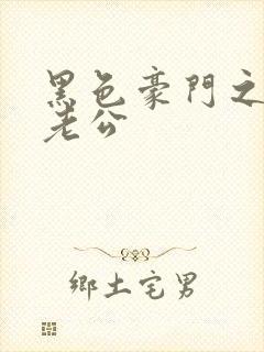 黑色豪门之王子老公