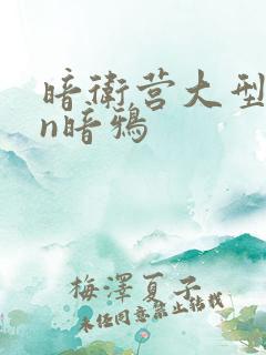 暗卫营大型hpn暗鸦