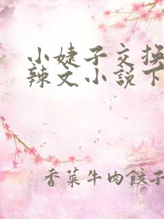 小婕子交换系列辣文小说下载