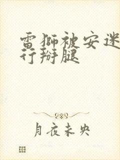 雷狮被安迷修强行掰腿