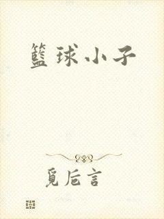 篮球小子
