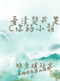 看清楚我是怎么C你的小说