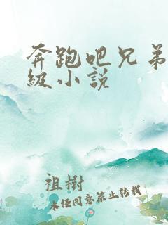 奔跑吧兄弟限制级小说