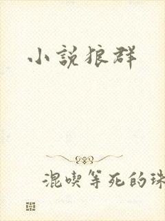 小说狼群