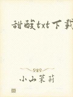 甜酸txt下载
