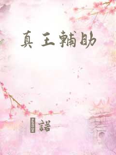 真王辅助