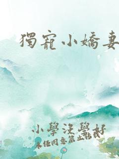 独宠小娇妻
