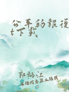 公平的报复txt下载